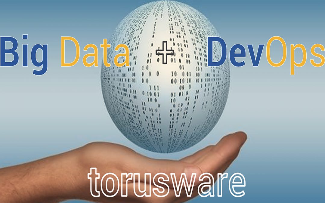 TORUS SOFTWARE SOLUTIONS, S.L.